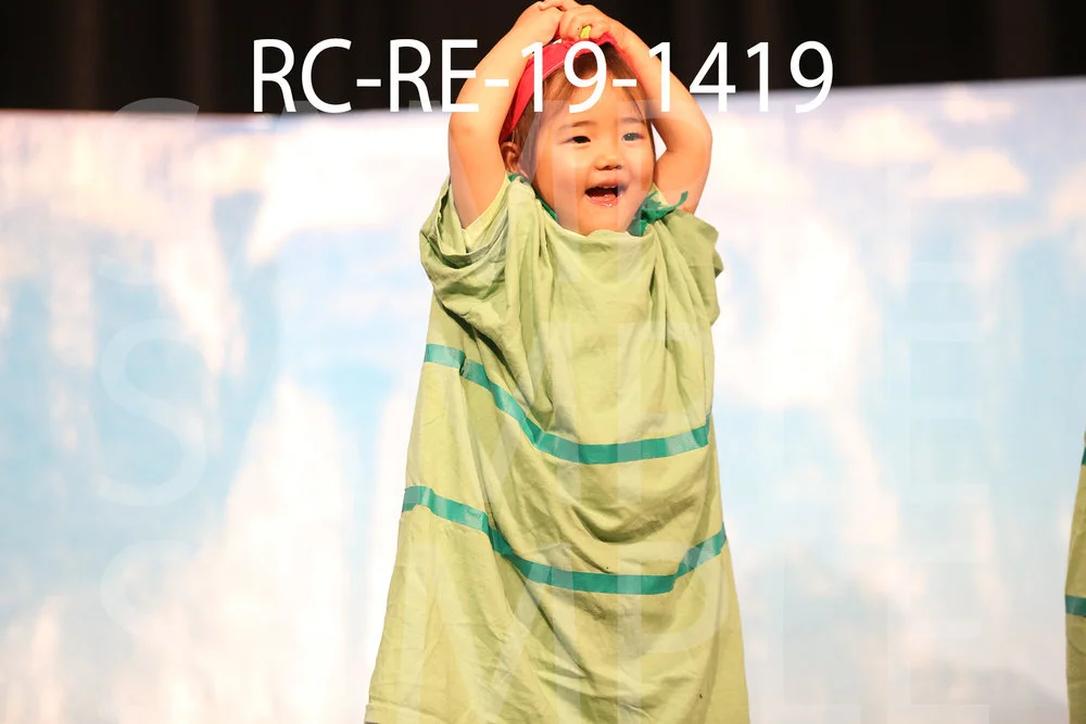 RC-RE-19-1419.jpg