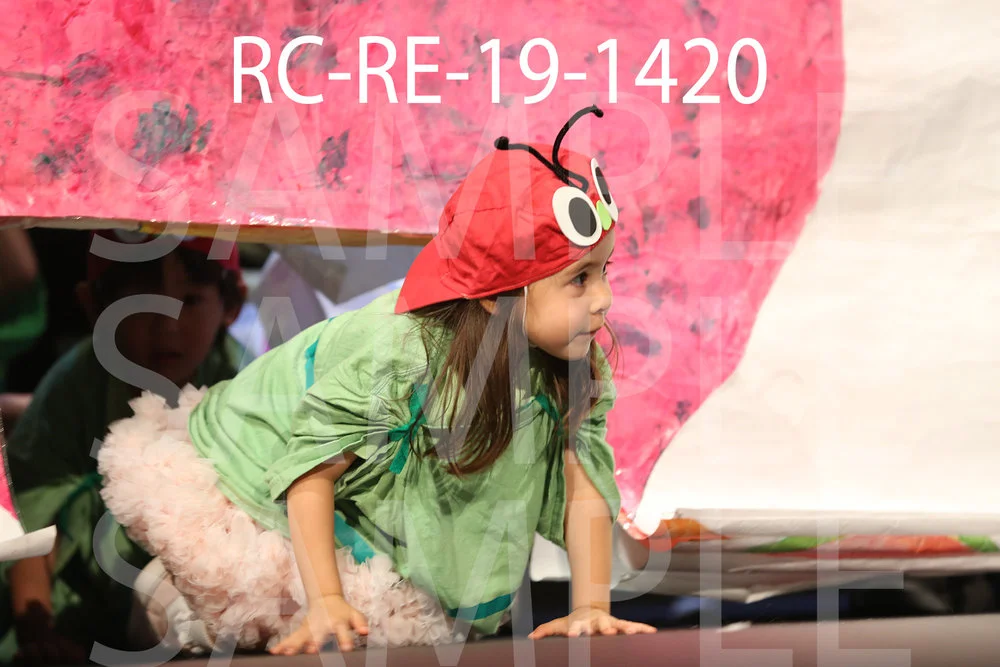 RC-RE-19-1420.jpg