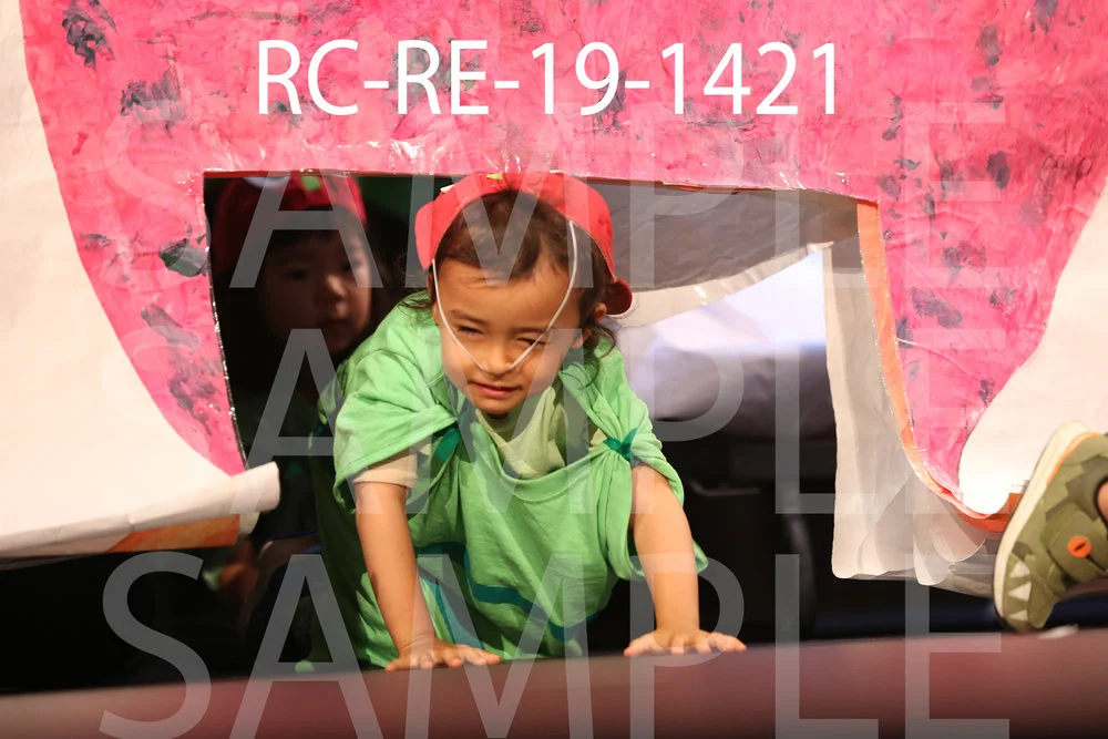 RC-RE-19-1421.jpg