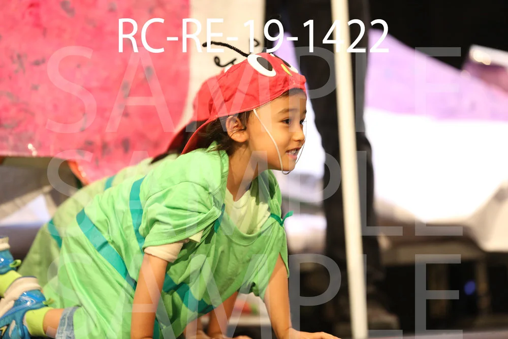 RC-RE-19-1422.jpg