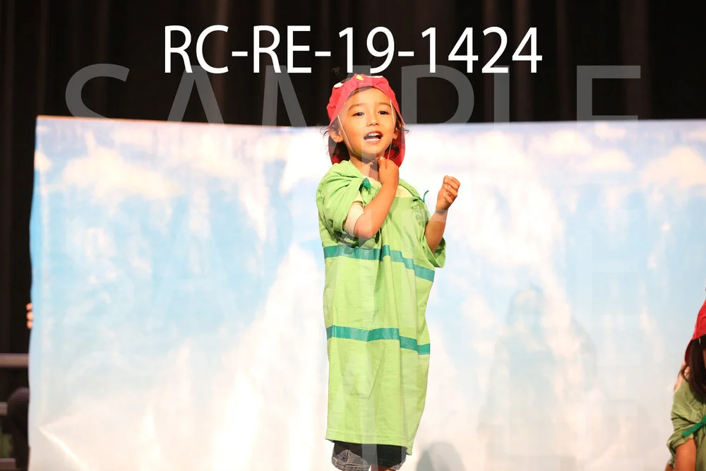 RC-RE-19-1424.jpg