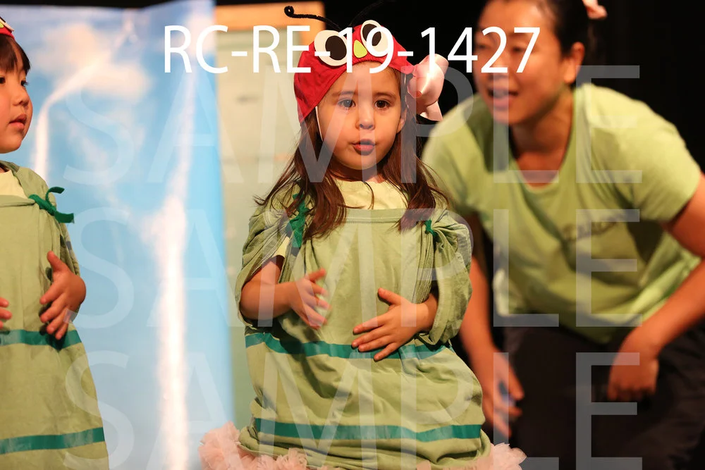 RC-RE-19-1427.jpg