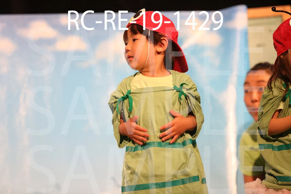RC-RE-19-1429.jpg