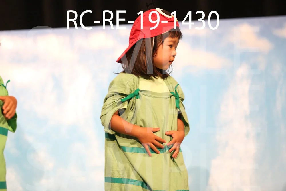 RC-RE-19-1430.jpg