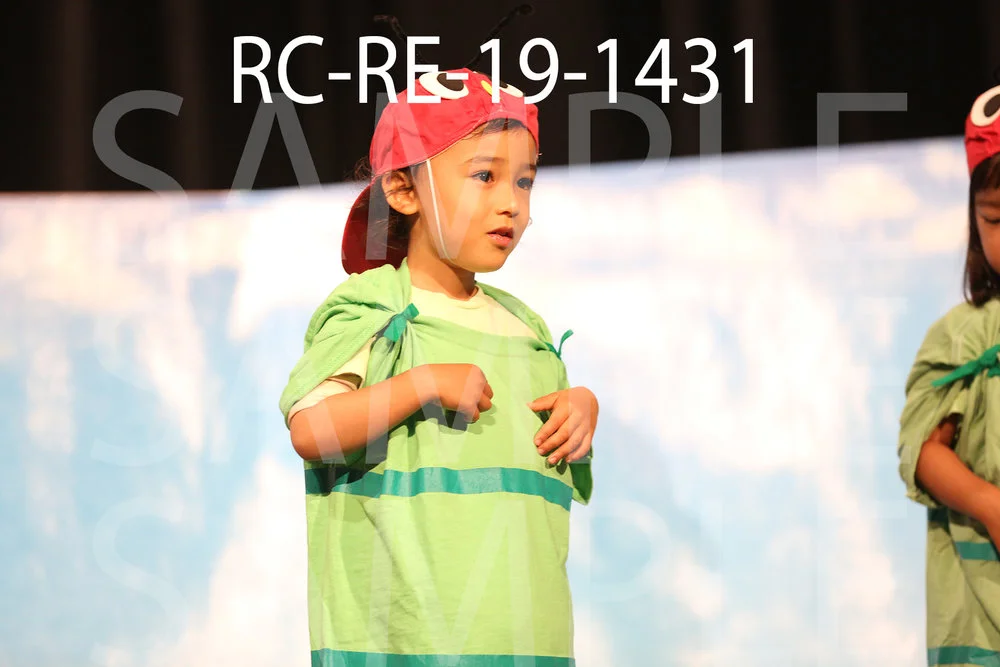 RC-RE-19-1431.jpg