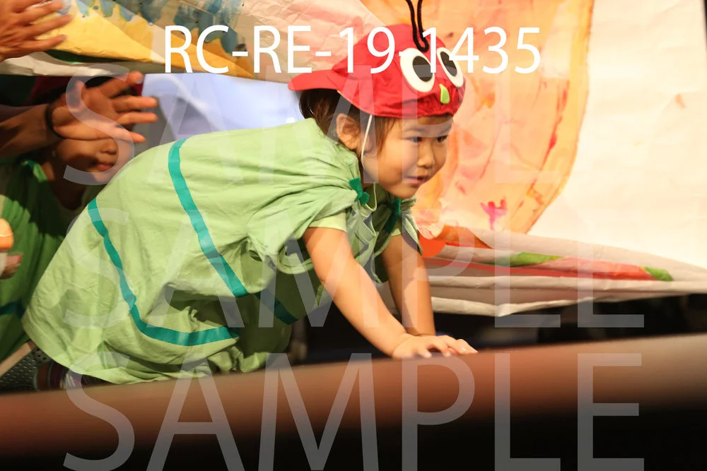 RC-RE-19-1435.jpg