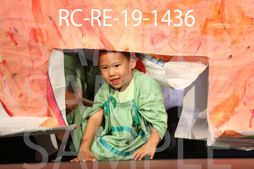 RC-RE-19-1436.jpg