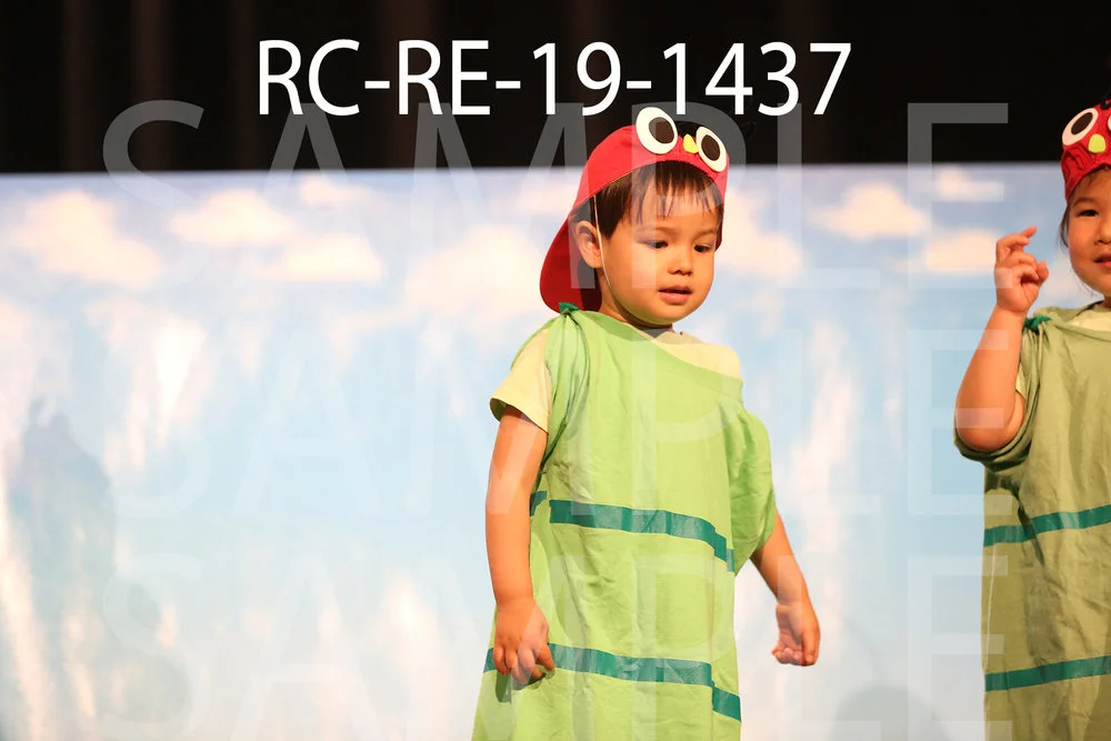 RC-RE-19-1437.jpg