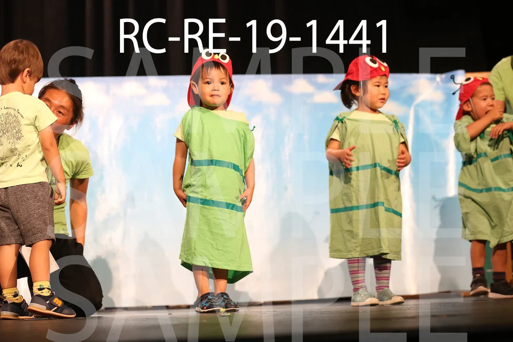 RC-RE-19-1441.jpg