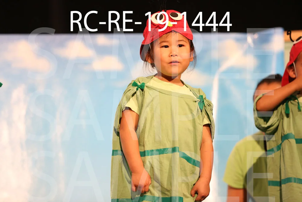 RC-RE-19-1444.jpg
