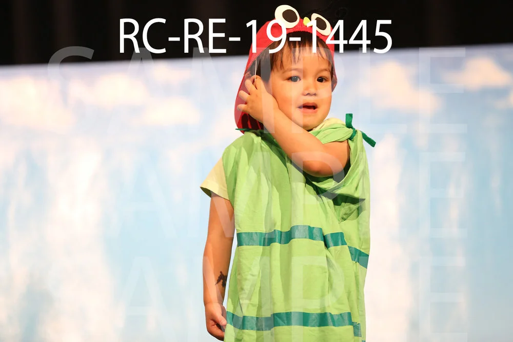 RC-RE-19-1445.jpg