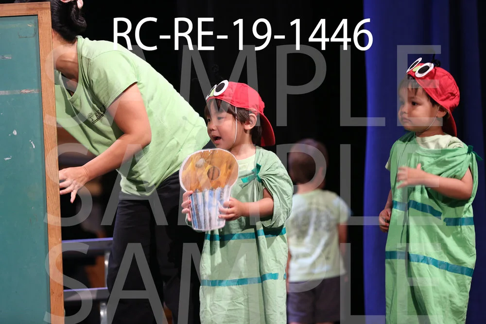 RC-RE-19-1446.jpg
