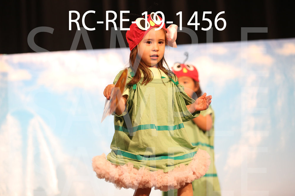 RC-RE-19-1456.jpg