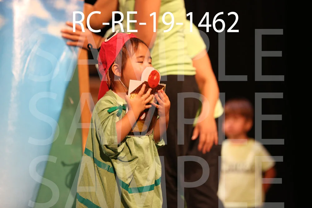 RC-RE-19-1462.jpg