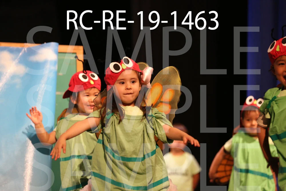 RC-RE-19-1463.jpg