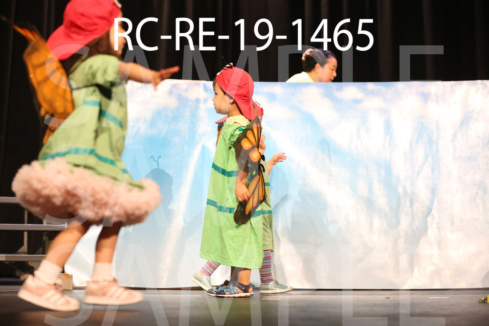 RC-RE-19-1465.jpg