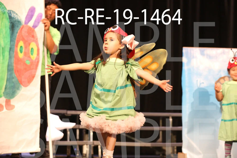 RC-RE-19-1464.jpg