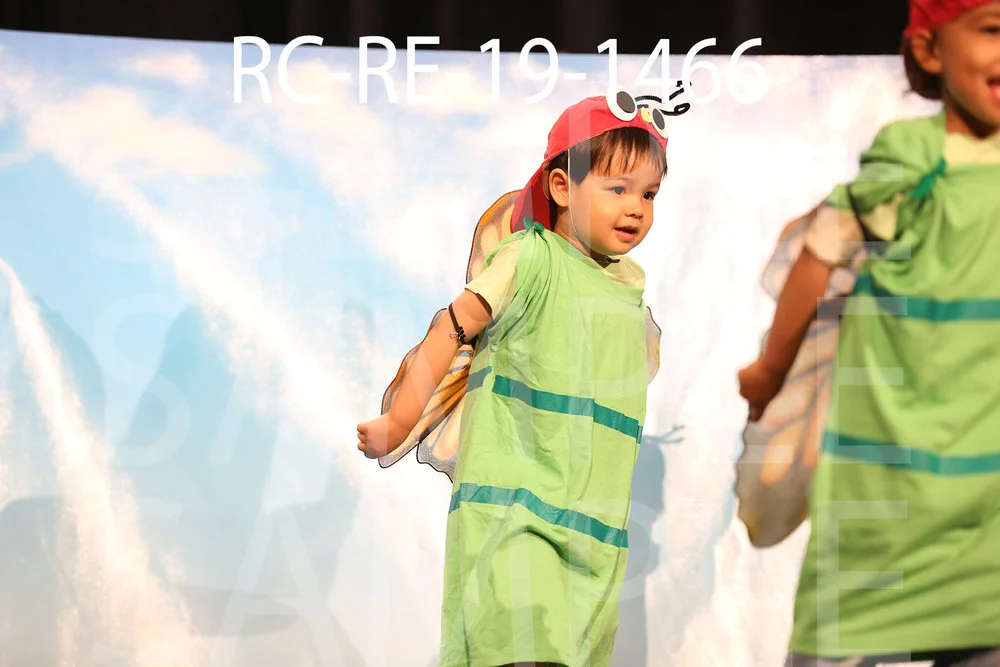 RC-RE-19-1466.jpg