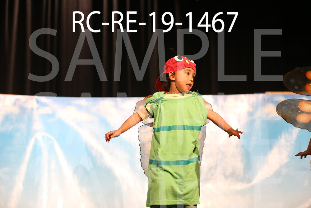 RC-RE-19-1467.jpg