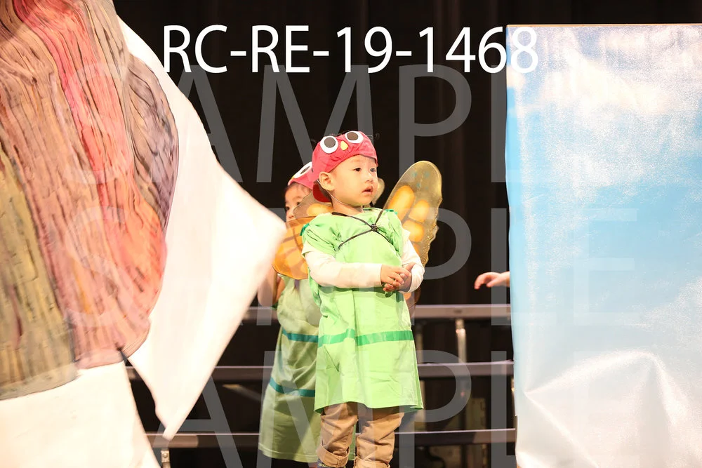 RC-RE-19-1468.jpg