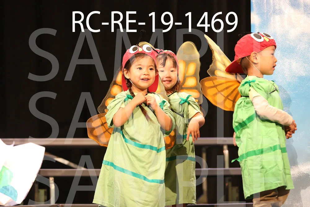 RC-RE-19-1469.jpg