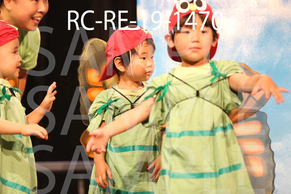 RC-RE-19-1470.jpg