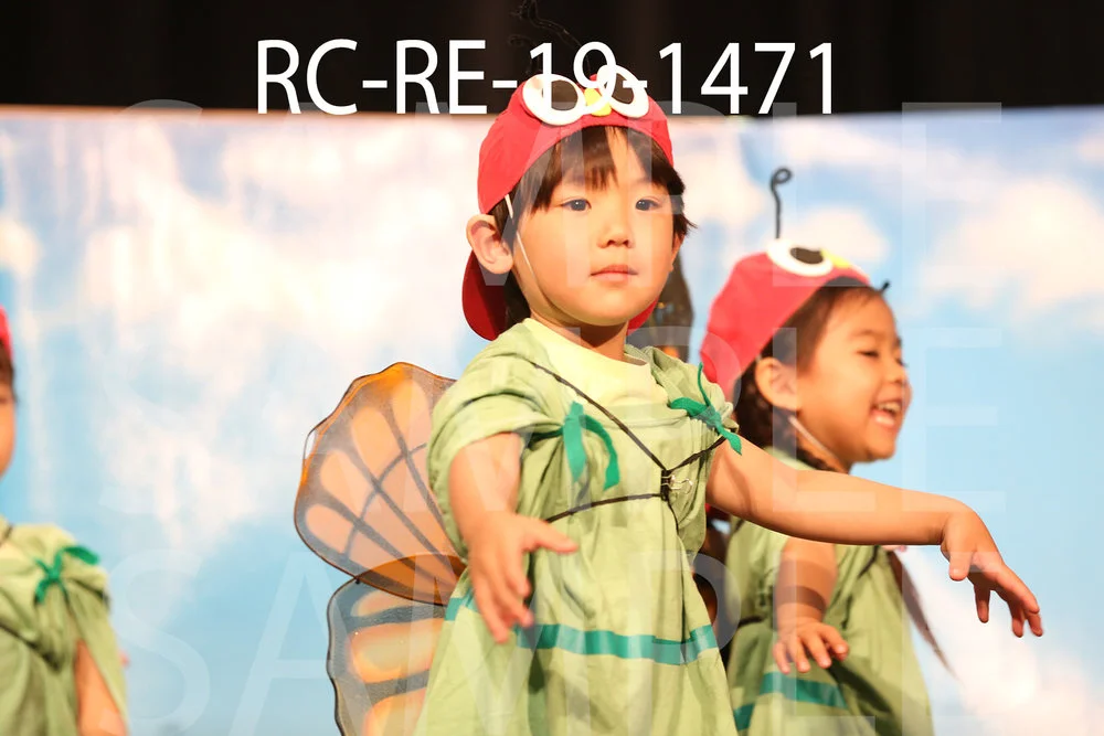 RC-RE-19-1471.jpg