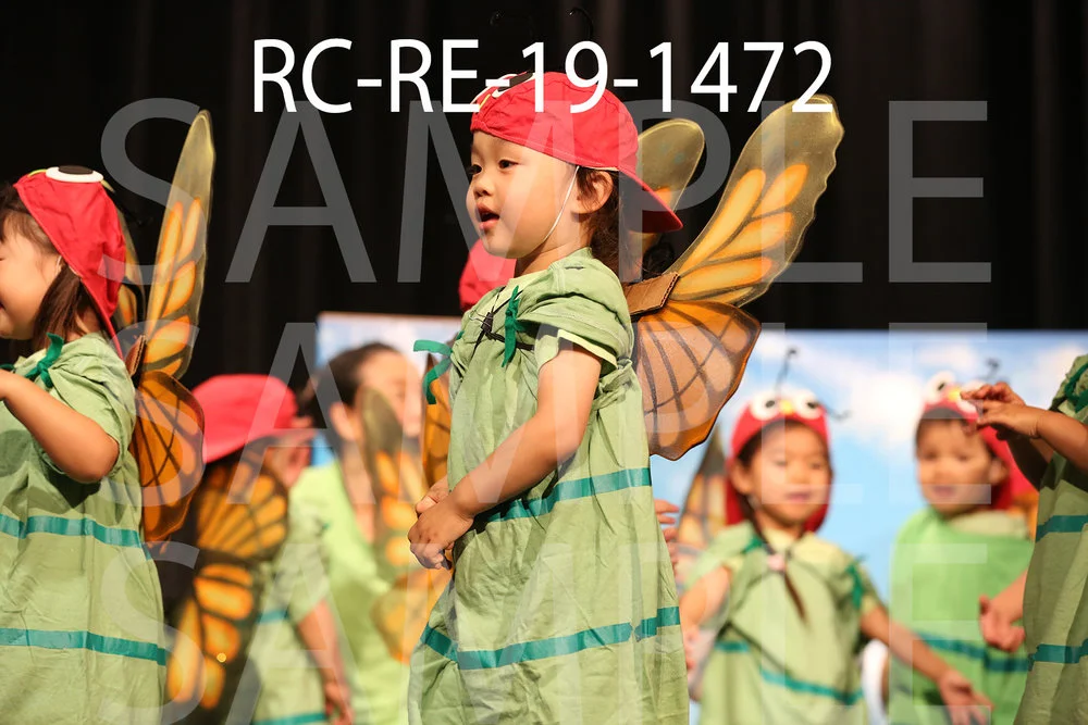 RC-RE-19-1472.jpg