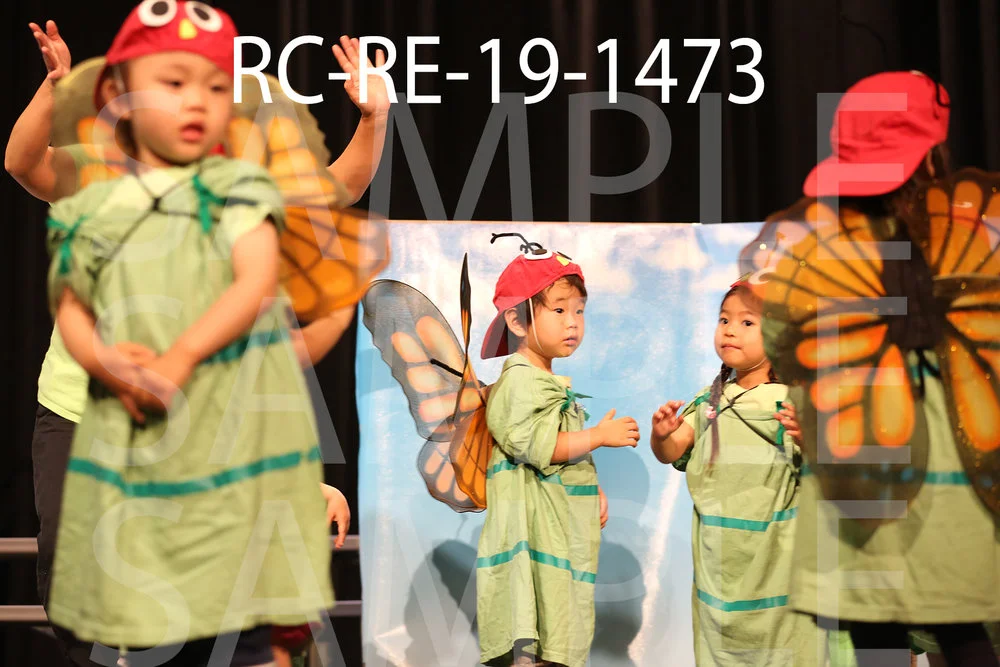 RC-RE-19-1473.jpg
