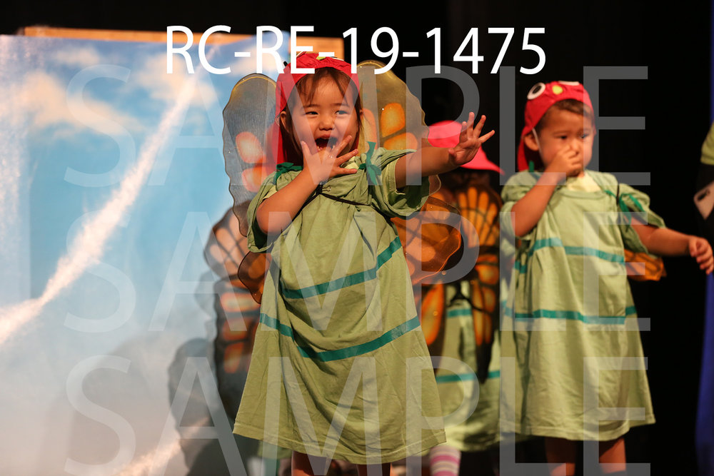 RC-RE-19-1475.jpg