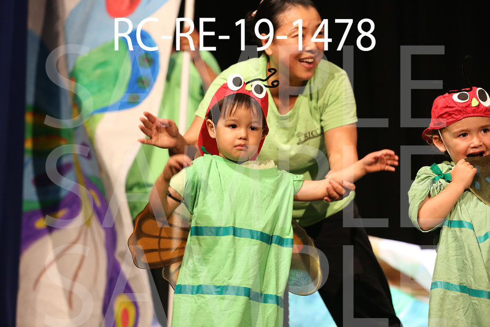 RC-RE-19-1478.jpg
