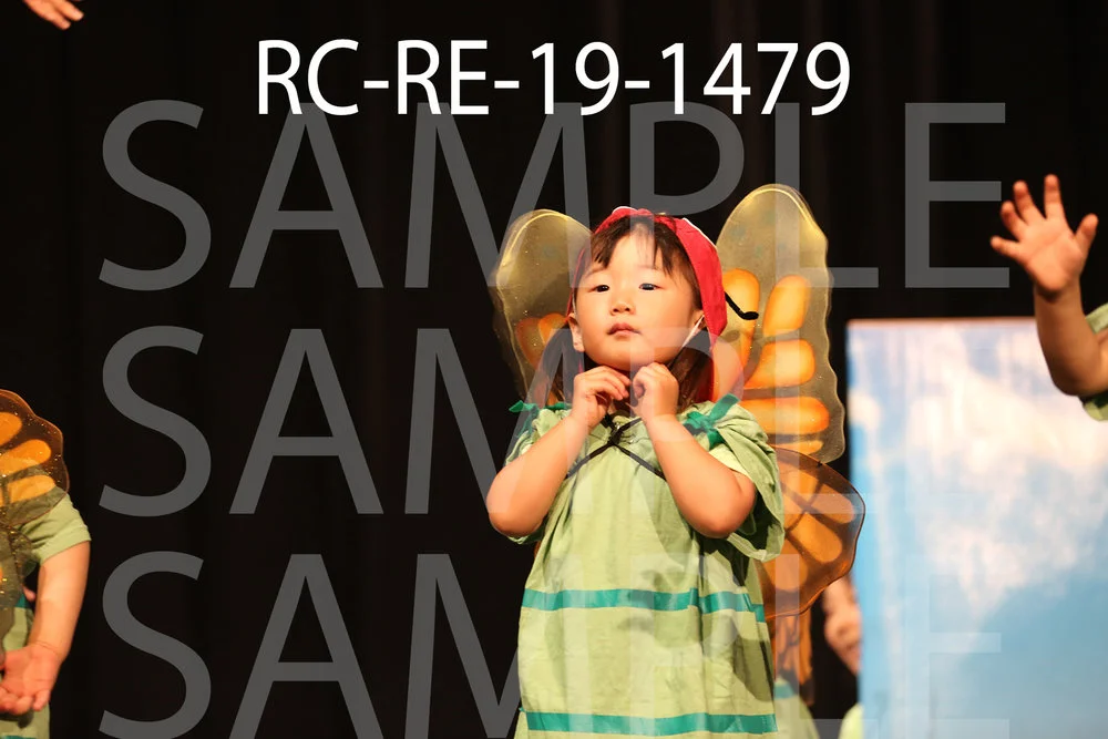 RC-RE-19-1479.jpg