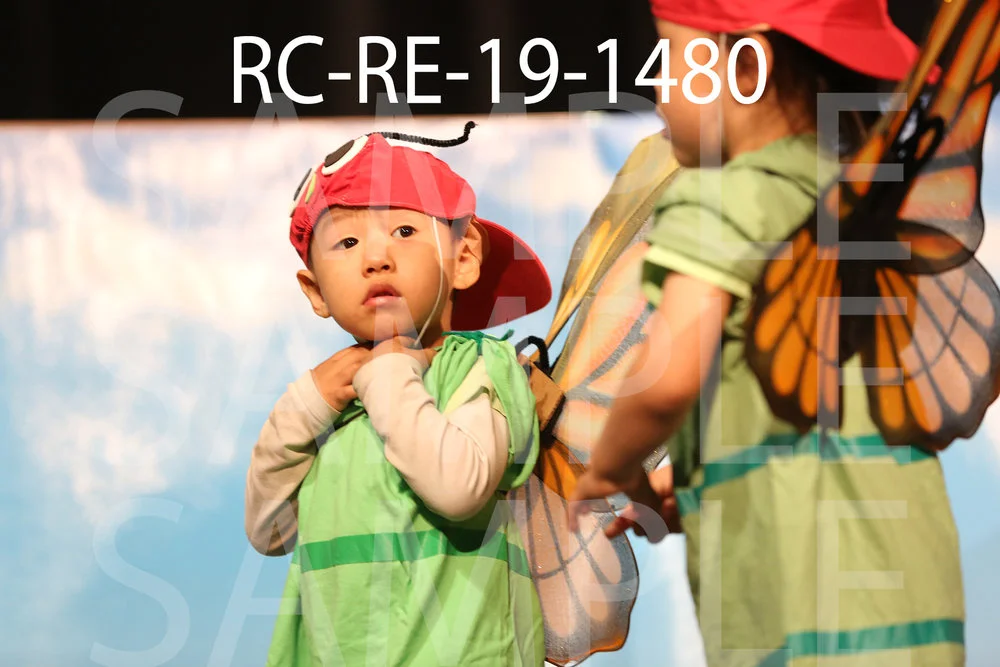 RC-RE-19-1480.jpg
