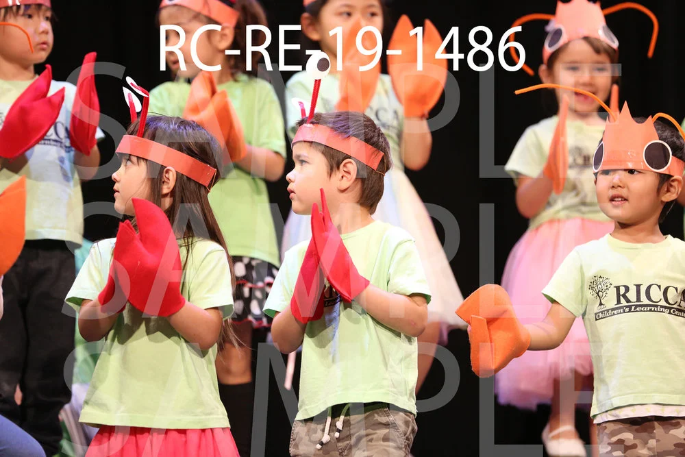 RC-RE-19-1486.jpg