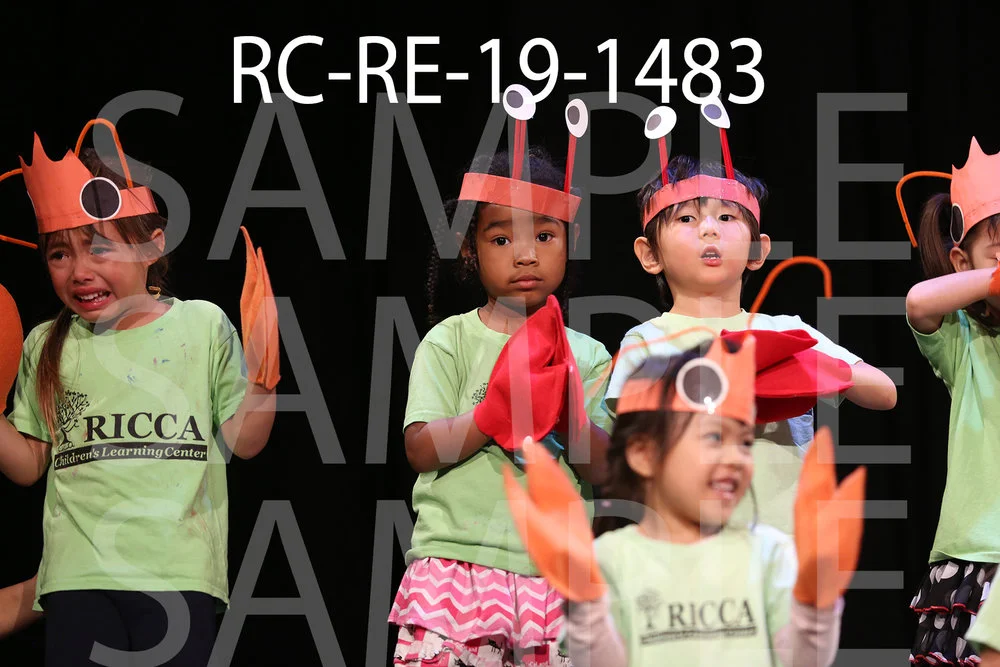 RC-RE-19-1483.jpg