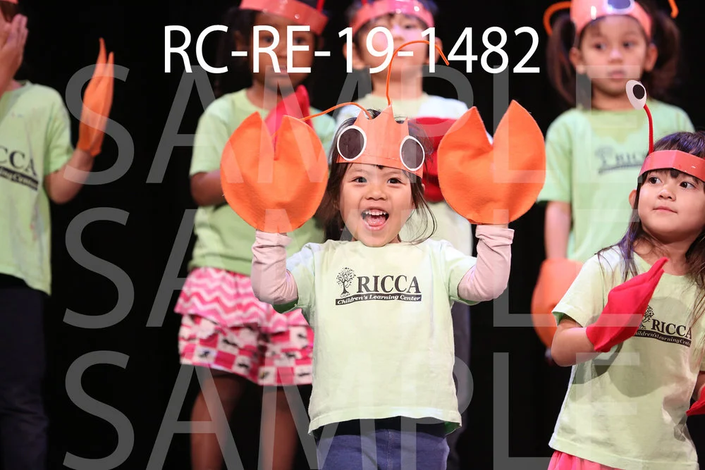 RC-RE-19-1482.jpg