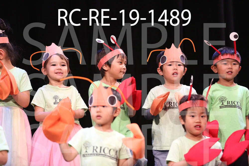 RC-RE-19-1489.jpg
