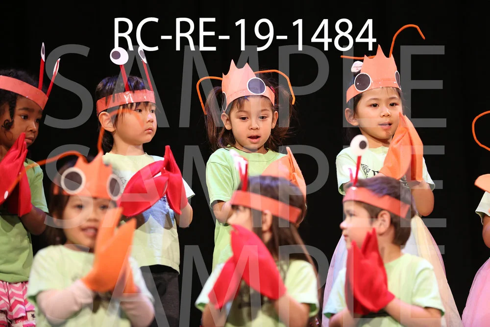 RC-RE-19-1484.jpg