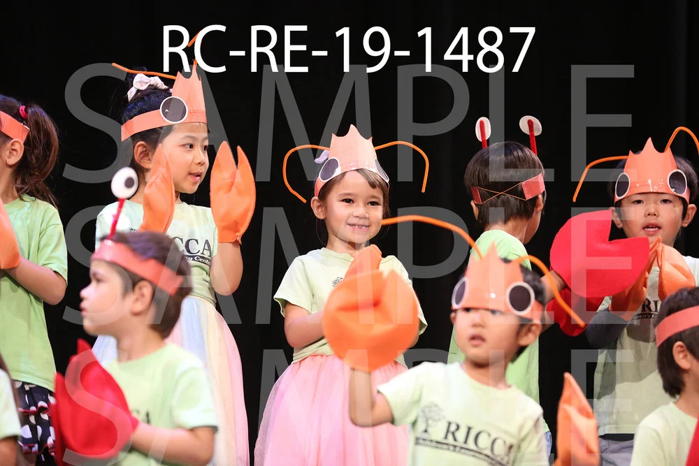 RC-RE-19-1487.jpg