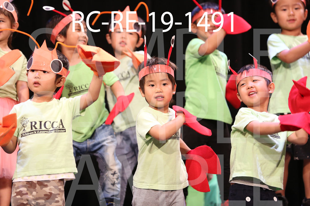 RC-RE-19-1491.jpg
