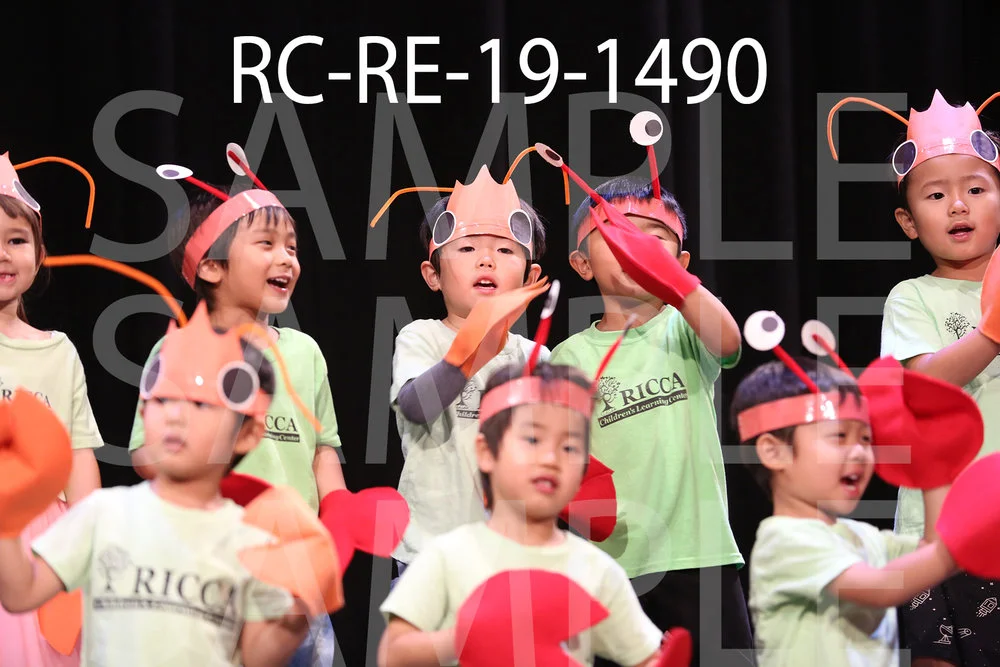 RC-RE-19-1490.jpg
