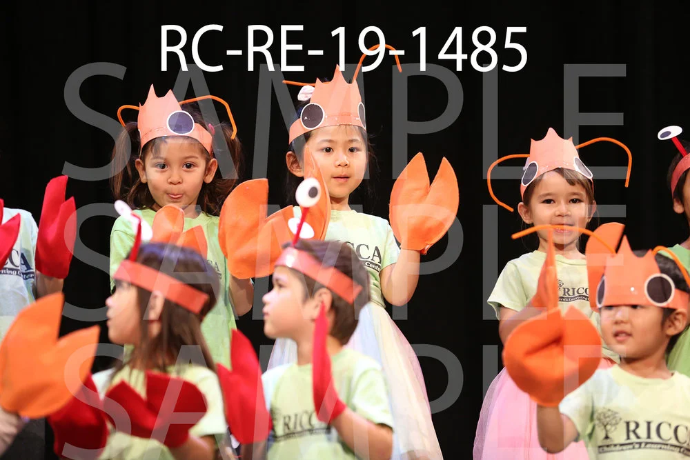 RC-RE-19-1485.jpg