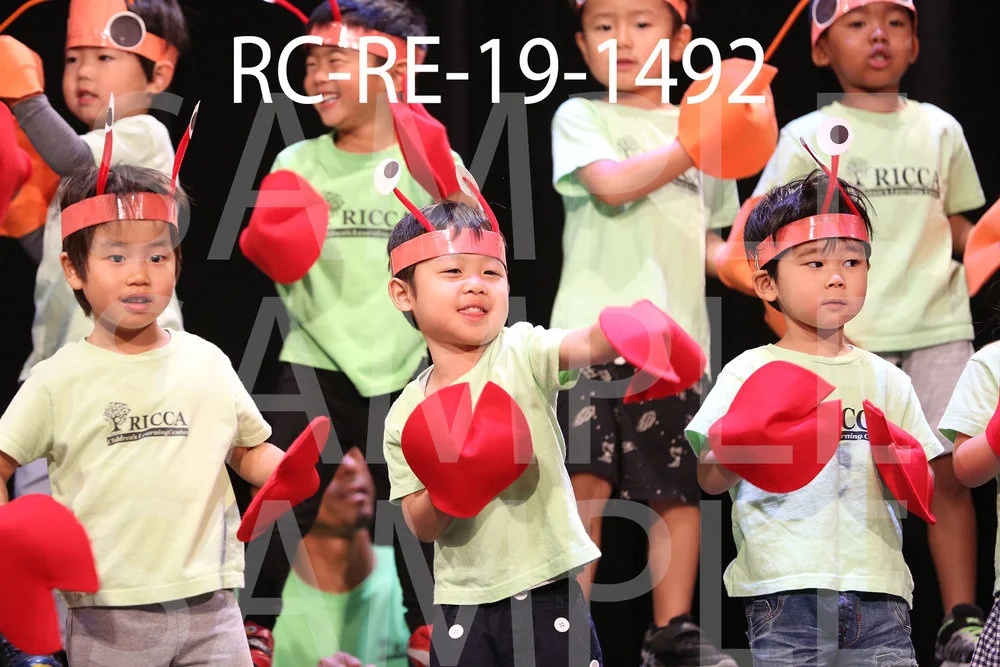 RC-RE-19-1492.jpg