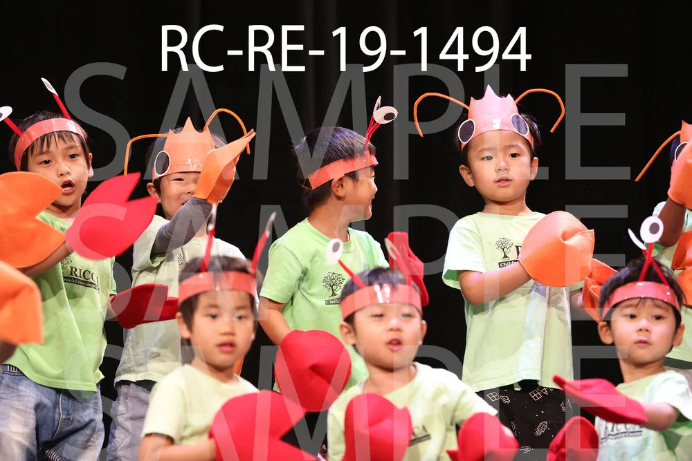 RC-RE-19-1494.jpg