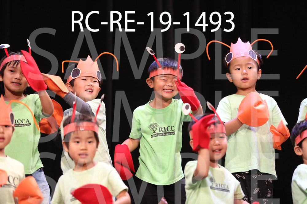 RC-RE-19-1493.jpg