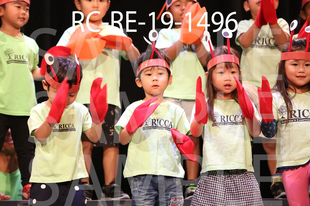 RC-RE-19-1496.jpg