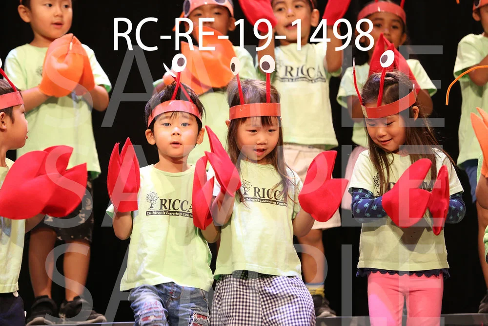 RC-RE-19-1498.jpg