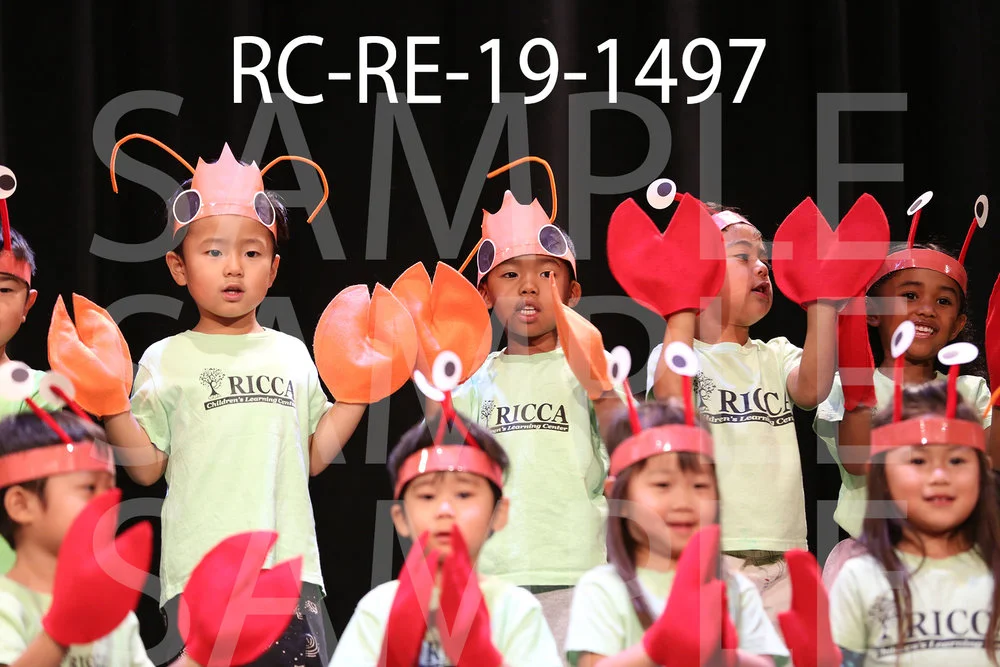 RC-RE-19-1497.jpg