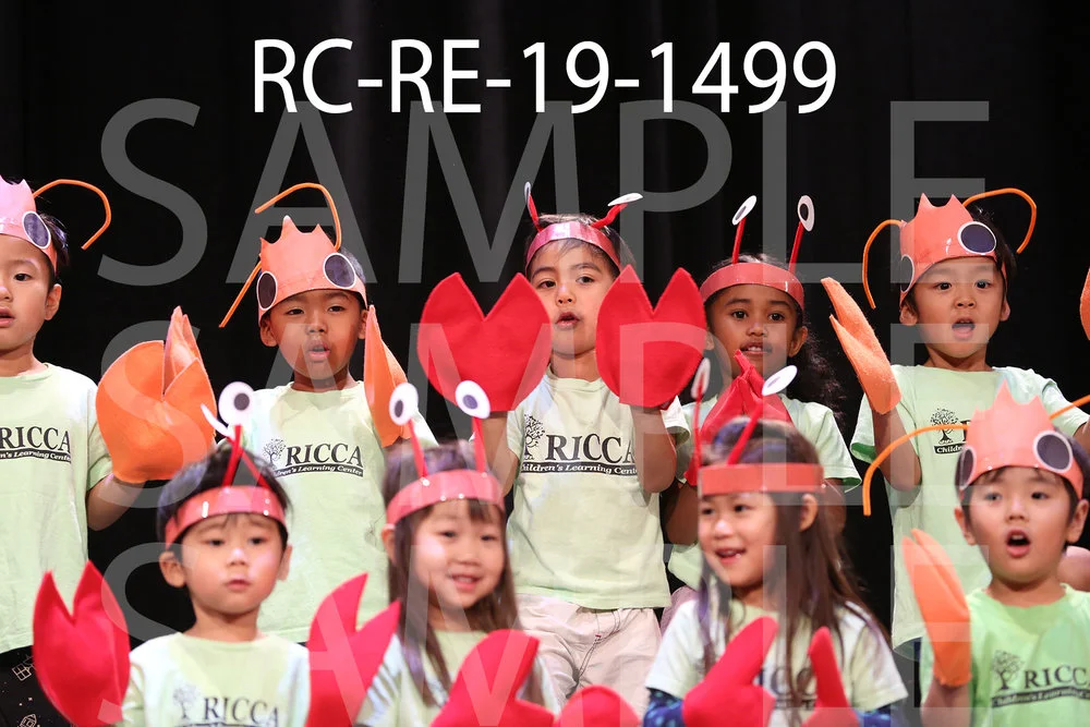 RC-RE-19-1499.jpg