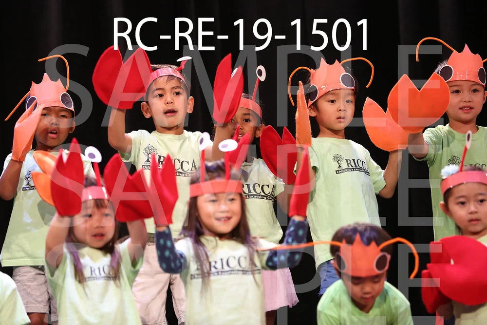 RC-RE-19-1501.jpg